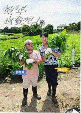山海食记 5060电影网美食纪录片在线观看